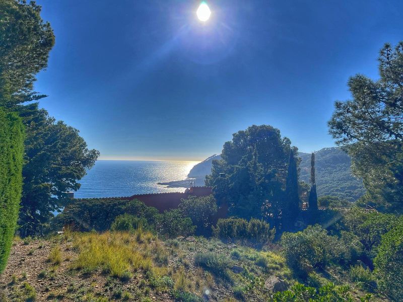 Parcela en venta Tamariu, Girona. Ref: 2431. CORREDOR MATÓ