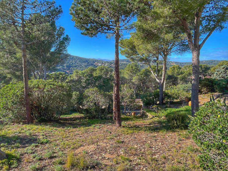 Parcela en venta Tamariu, Girona. Ref: 2431. CORREDOR MATÓ