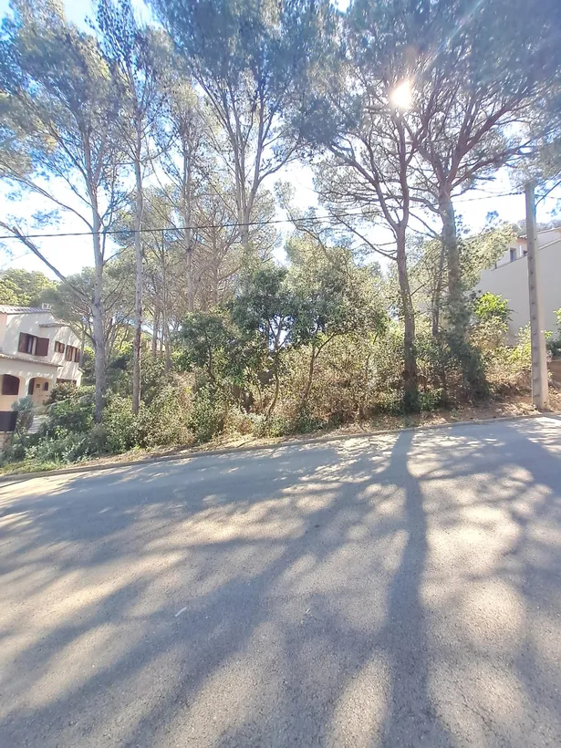 La parcel·la ideal per construir una casa de somni.