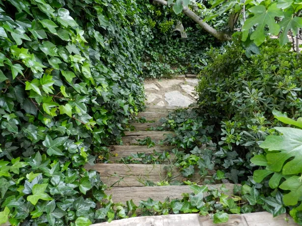 T'agrada la calma, la tranquil·litat i la naturalesa? Tenim la teva casa...