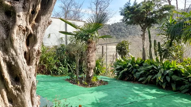 PRECIOSA CASA EN SANT GENIS DE PALAFOLLS