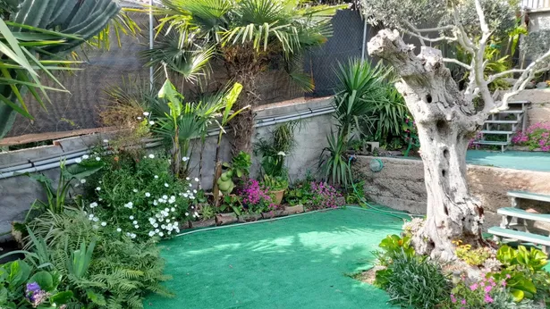 PRECIOSA CASA EN SANT GENIS DE PALAFOLLS
