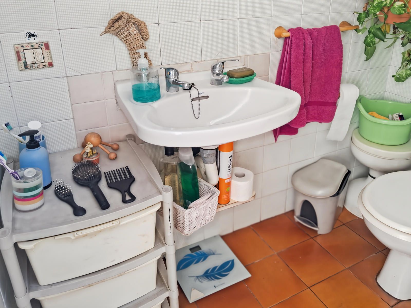 Miniatura