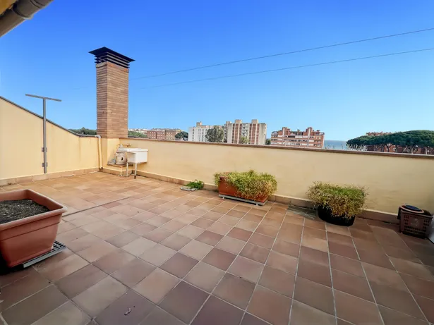 asa a Sant Vicenç de Montalt amb gran potencial