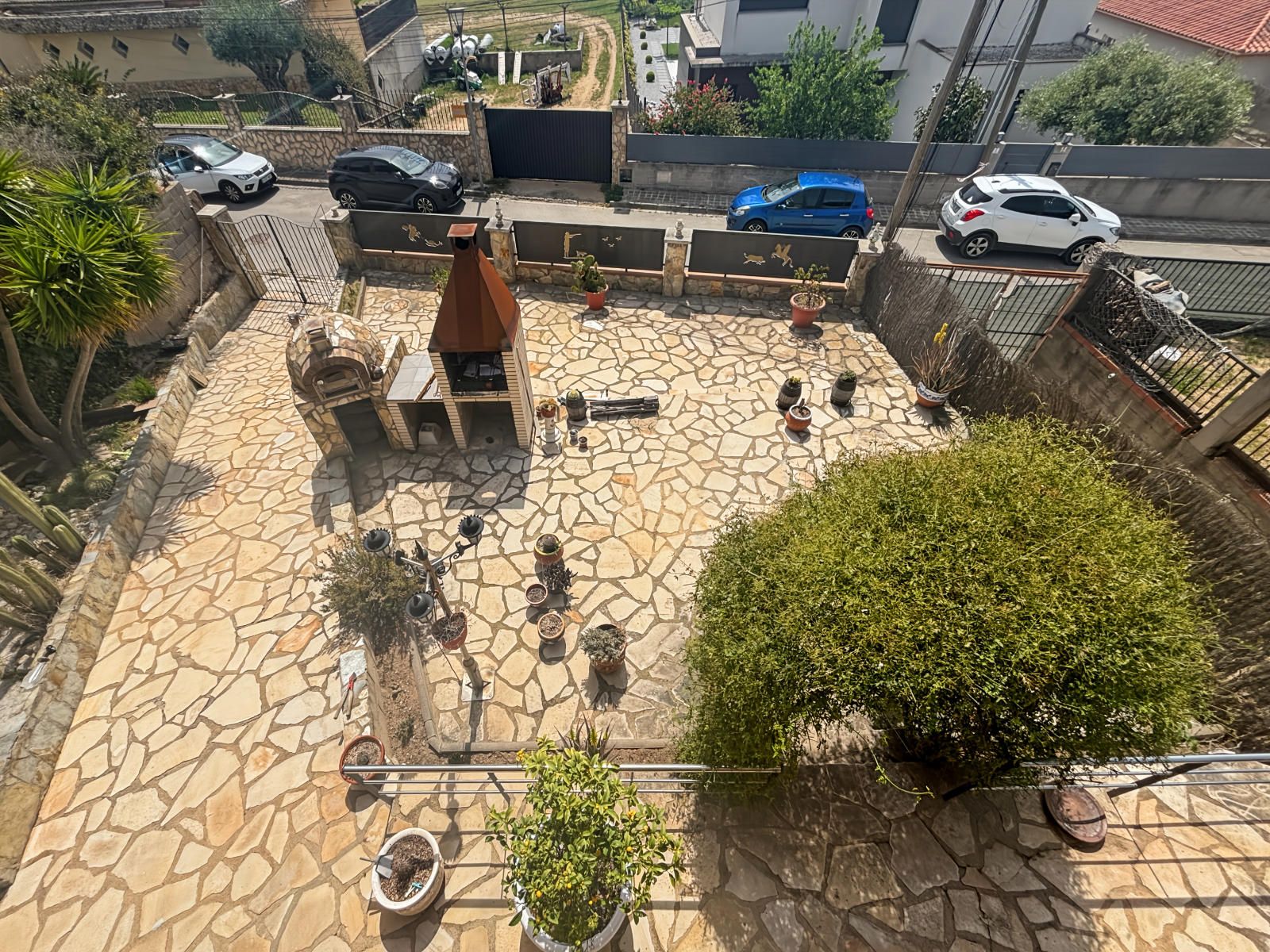 Miniatura