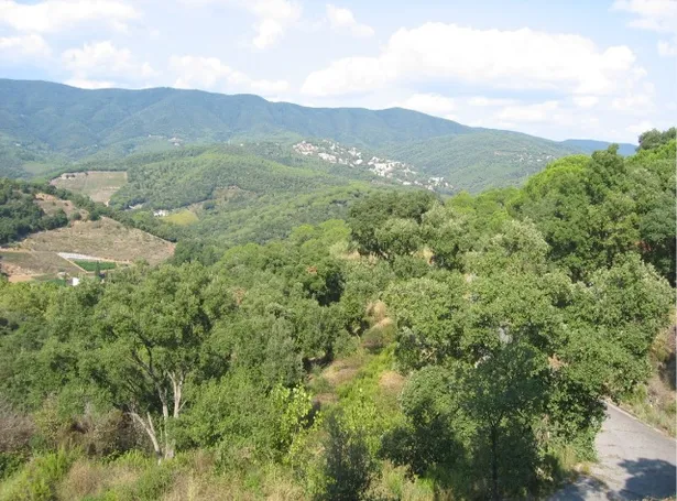 Parcela en venta en Sant Cebria De Vallalta