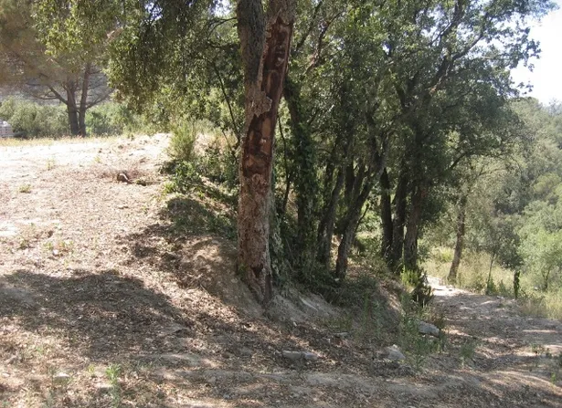 Parcela en venta en Sant Cebria De Vallalta