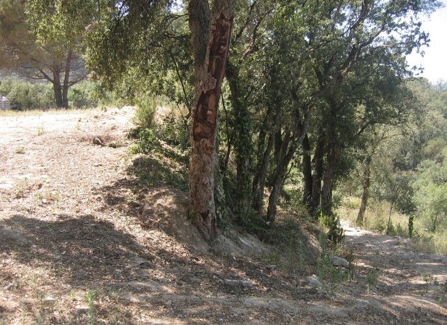 Parcela en venta en Sant Cebria De Vallalta