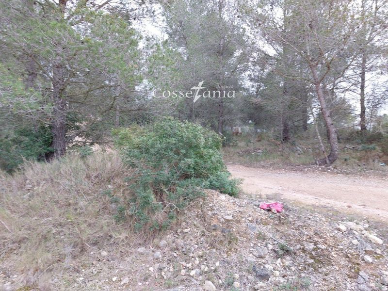 Parcela en venta La Bisbal del Penedes, Tarragona. Ref: 1009. Finques Cossetània S.C.P.