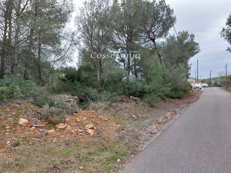 Parcela en venta La Bisbal del Penedes, Tarragona. Ref: 1009. Finques Cossetània S.C.P.