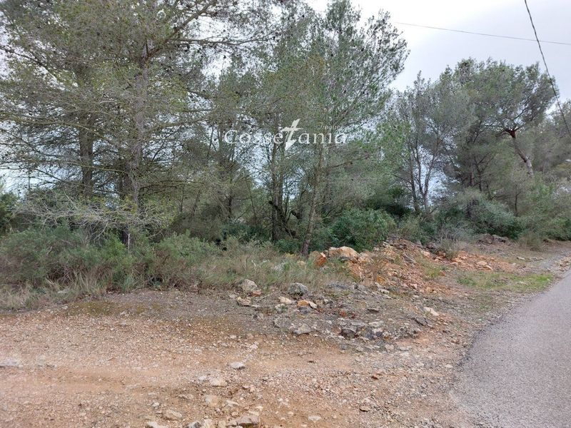 участок на продажу La Bisbal del Penedes, Tarragona. Ref: 1009. Finques Cossetània S.C.P.