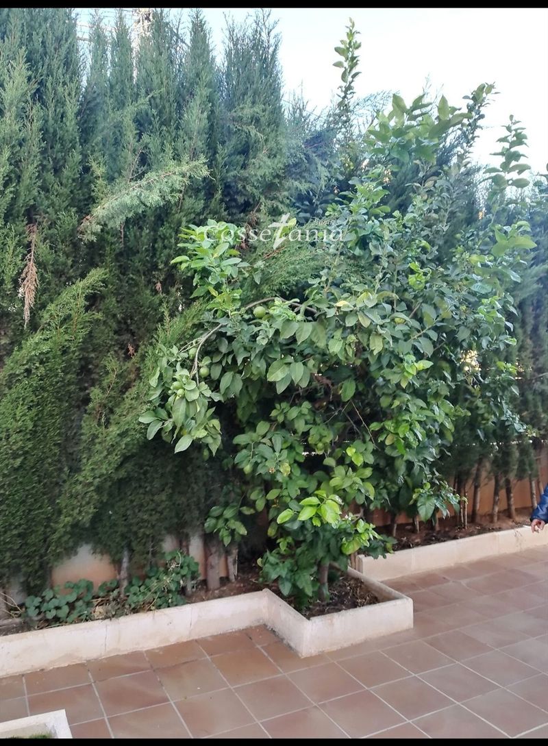 Piso en venta Segur De Calafell, Tarragona. Ref: 1146. Finques Cossetània S.C.P.