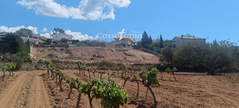 Parcela urbana en venta Calafell, Tarragona. Ref: 1470. Finques Cossetània S.C.P.