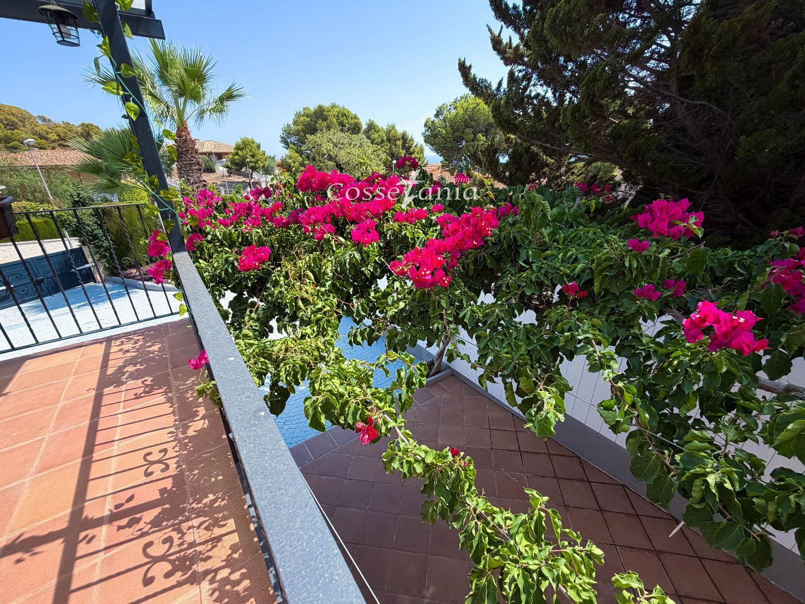 Exterior/Jardín - Chalet de 6 hab. con piscina y placas solares