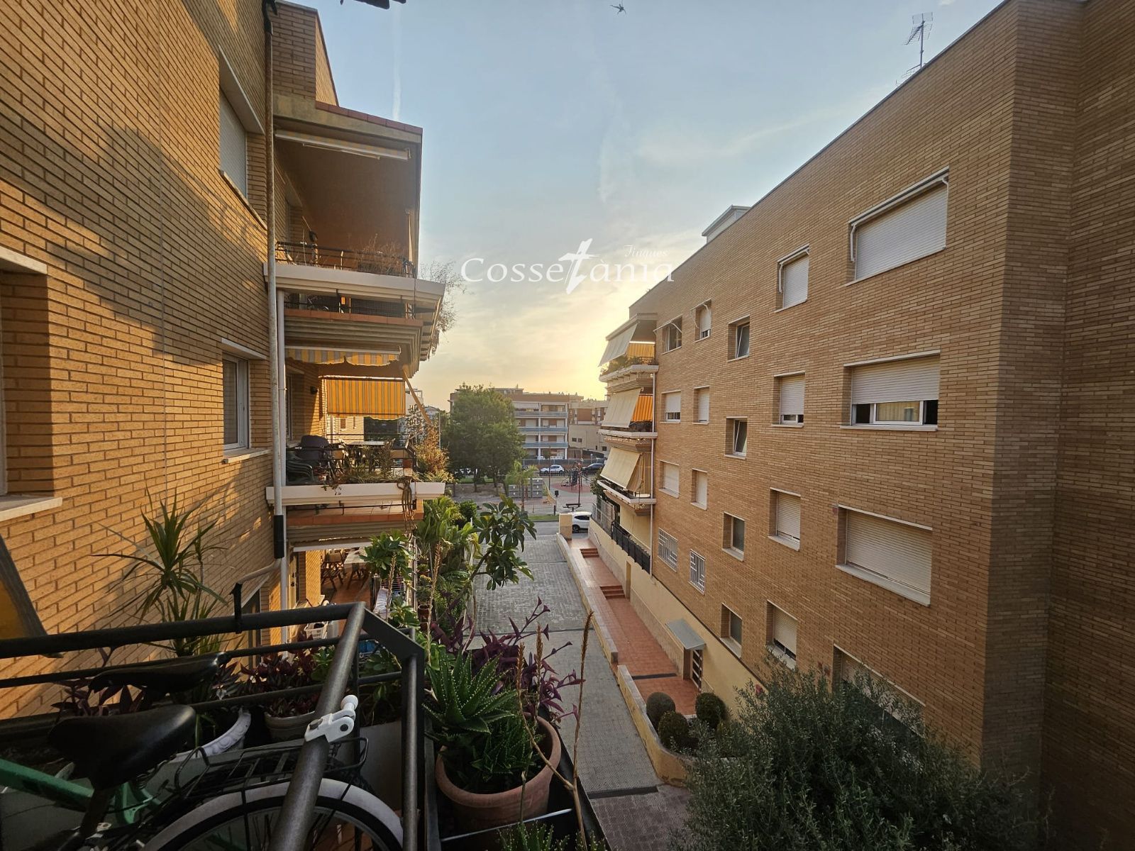 Piso en venta  en cunit