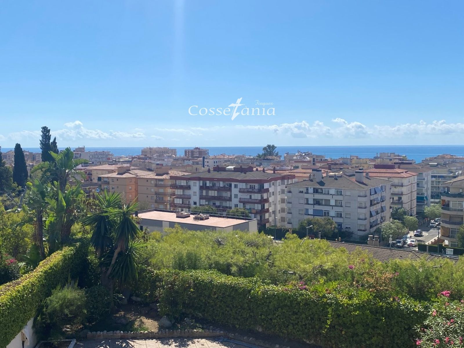 VENTA DE CHALET INDEPENDIENTE DE 4 DORMITORIOS / 3 BAÑOS Y PISCINA PROPIA