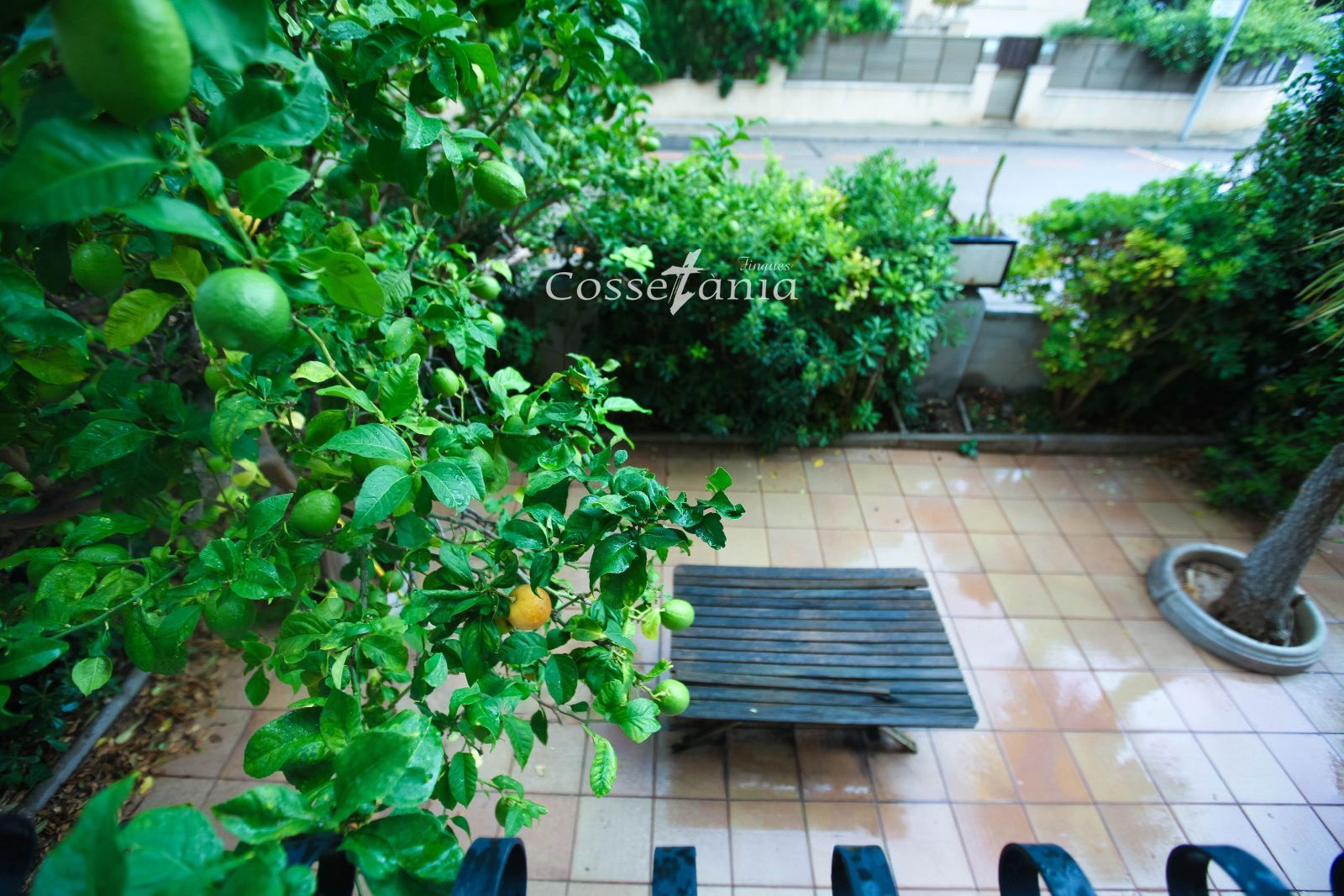 Exterior/Jardín - Calafell: piso de 3 habitaciones, piscina y garaje