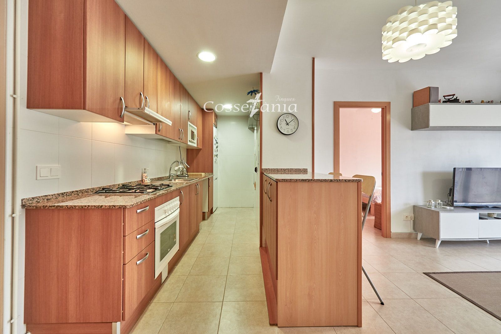 PLANTA BAJA EN VENTA EN SEGUR DE CALAFELL - Foto 6