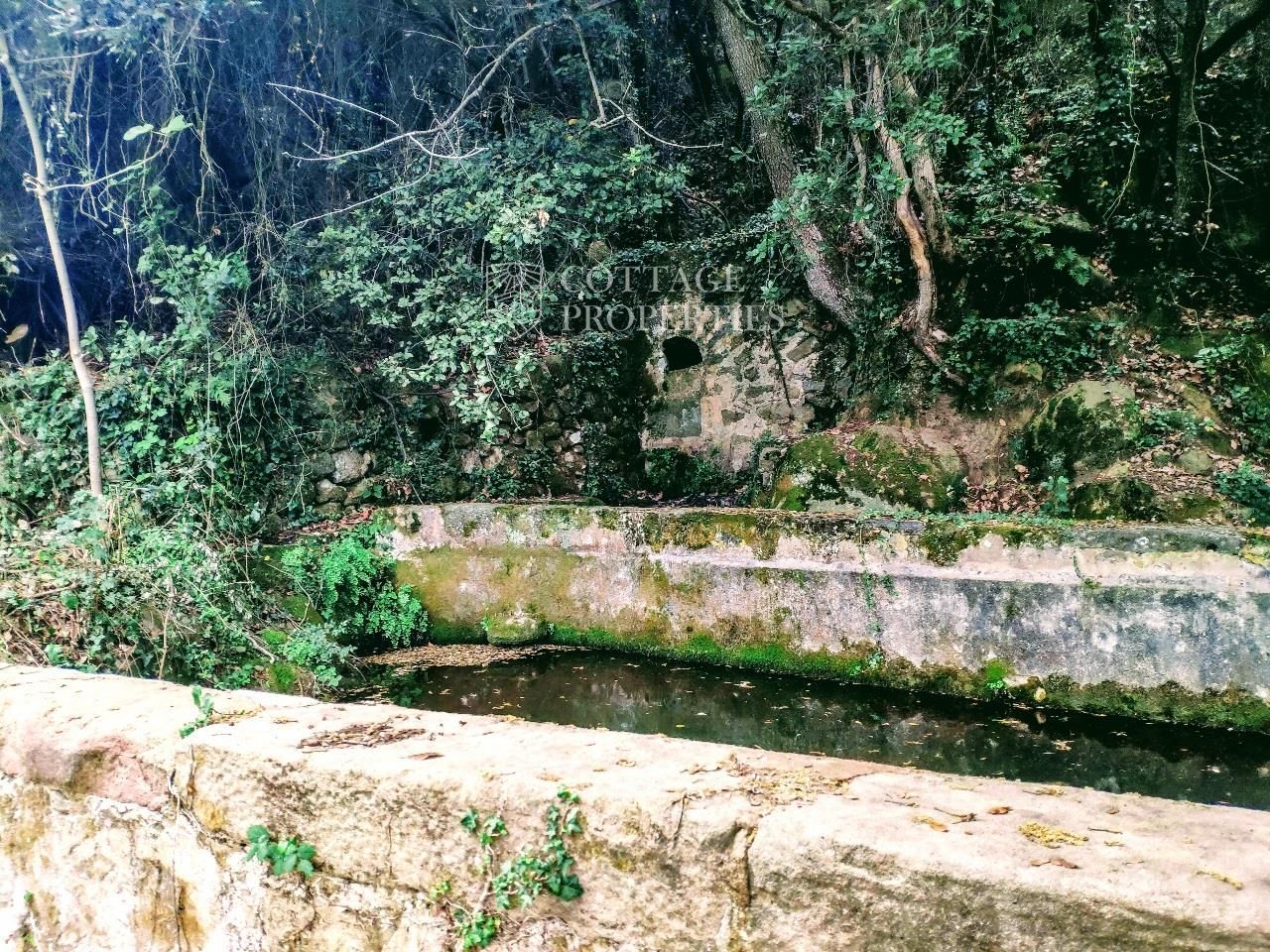 Vistas a la montaña