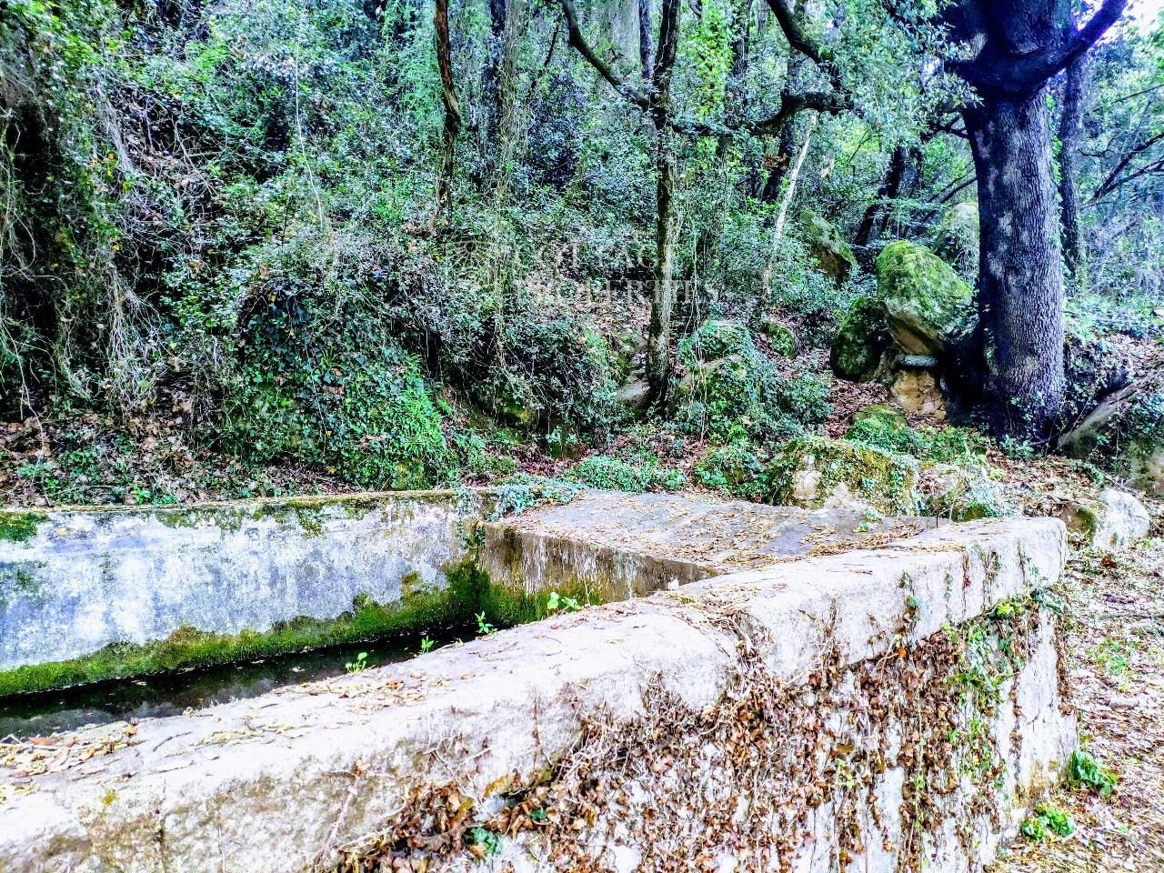 Jardín