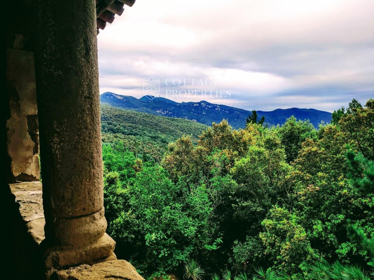 Vistas a la montaña