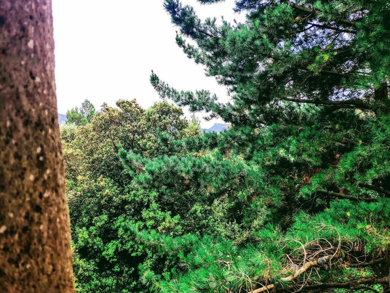 Jardín