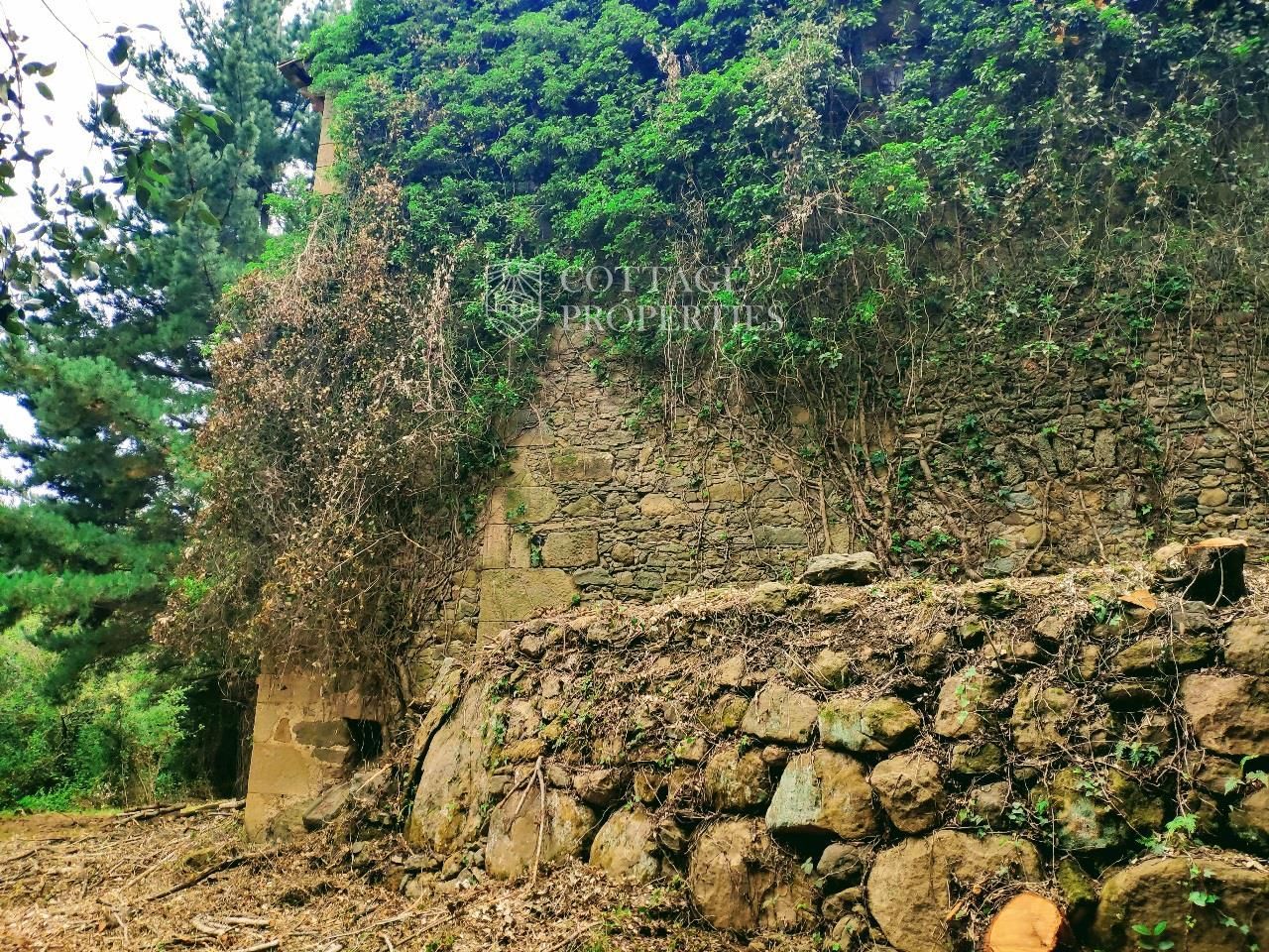 Jardín
