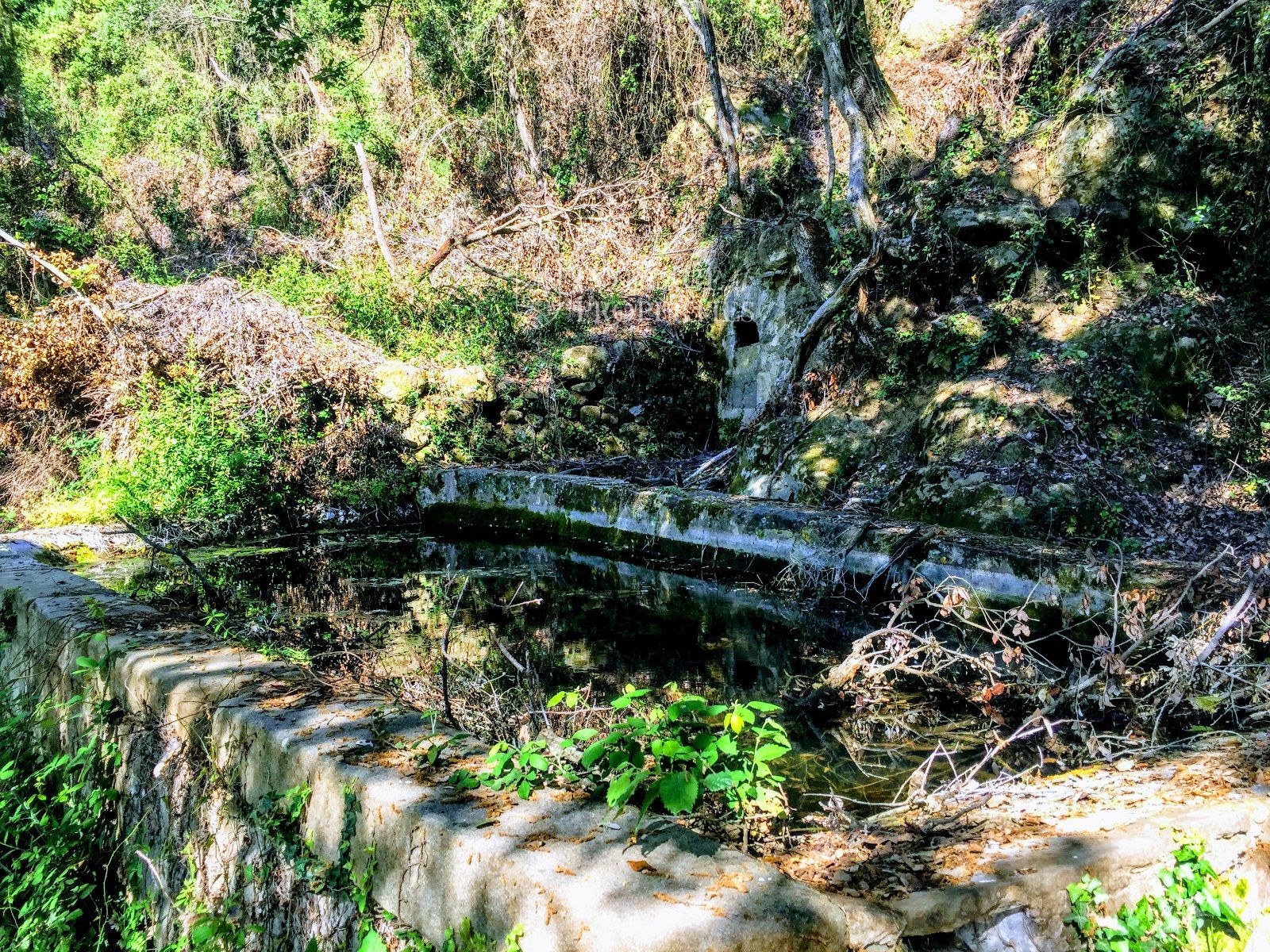 Jardín