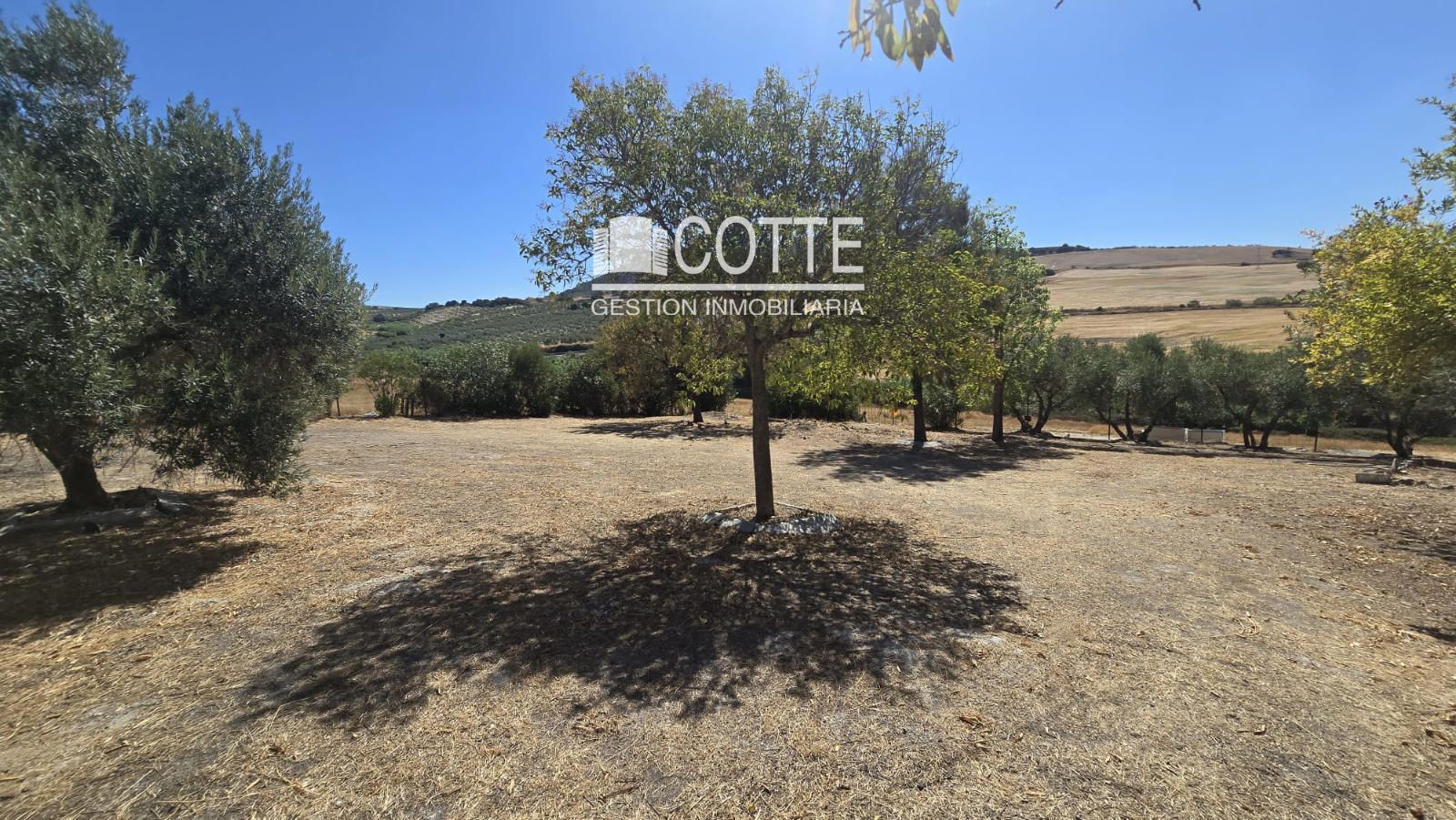 Plot for sale in Montellano, Sevilla - Foto 2