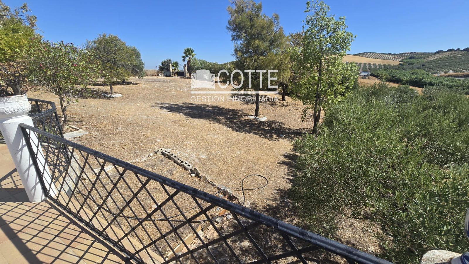 Plot for sale in Montellano, Sevilla - Foto 16