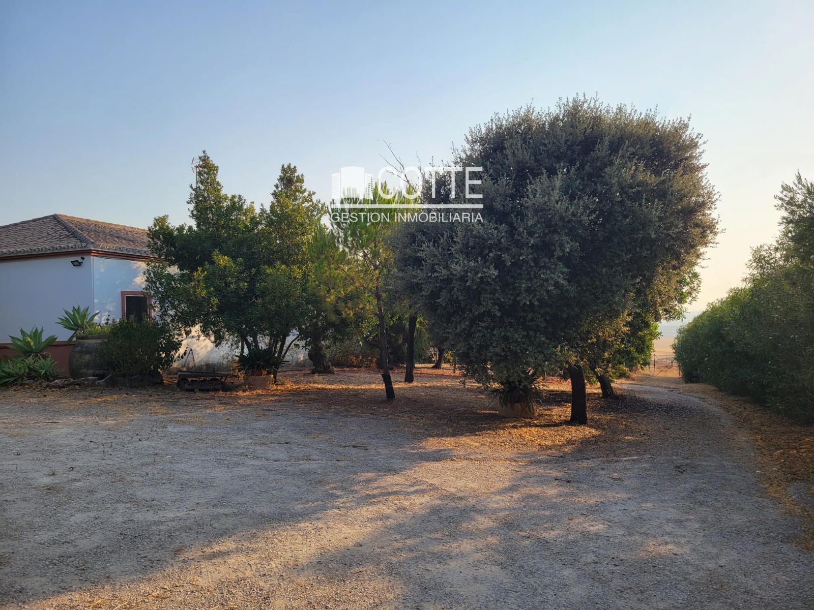 Townhouse for sale in Montellano, Sevilla - Foto 16