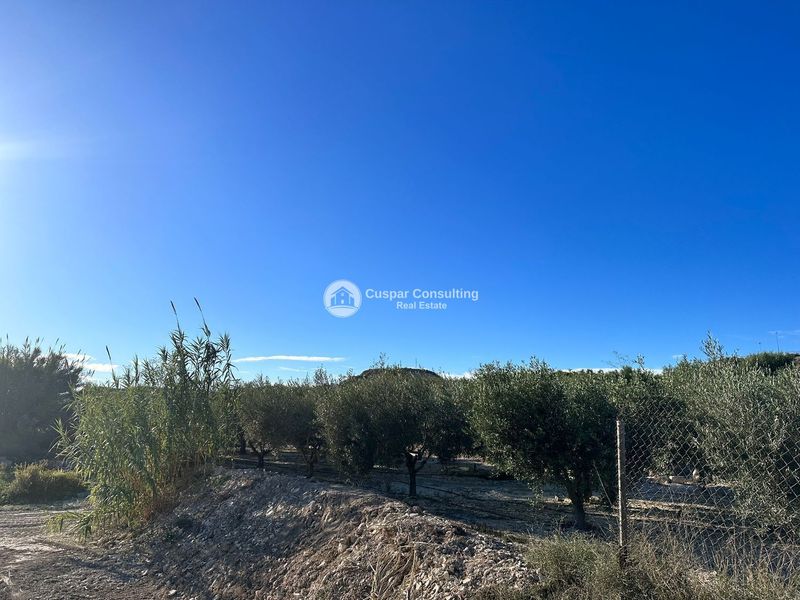 Plot for sale Albudeite, Murcia. Ref: 1254. Cuspar Consulting Real Estate