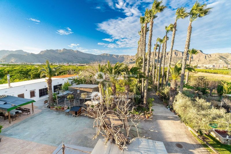 Działka na sprzedaż Orihuela, Alicante. Ref: 1968. Cuspar Consulting Real Estate