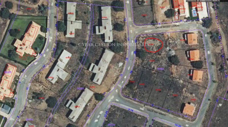 Parcela en venta Carrascal De Barregas, Salamanca. Ref: 1673. Cylar Gestión Inmobiliaria