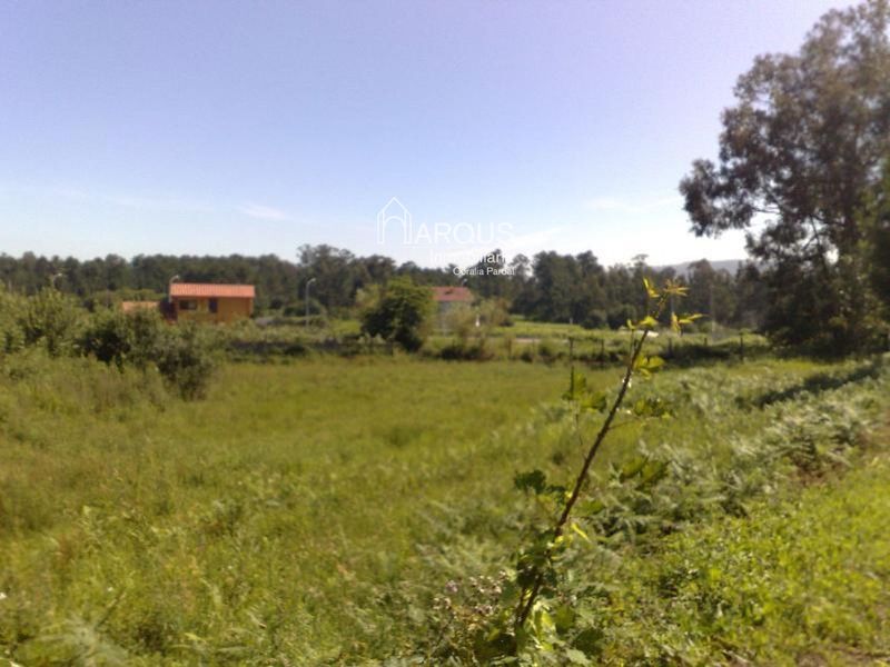 Parcela en venta Sanxenxo, Pontevedra. Ref: 1129. Arqus Inmobiliaria