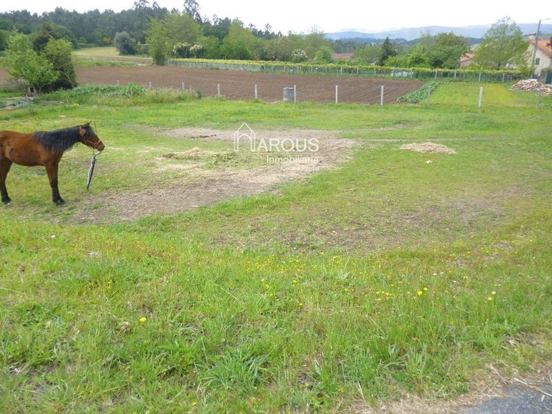 Parcela en venta Vedra, A Coruña. Ref: 4628. Arqus Inmobiliaria