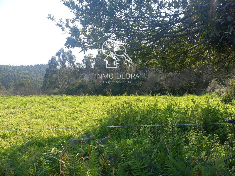 Parcela en venta Ranon, Asturias. Ref: 1088. Inmo Debra 
