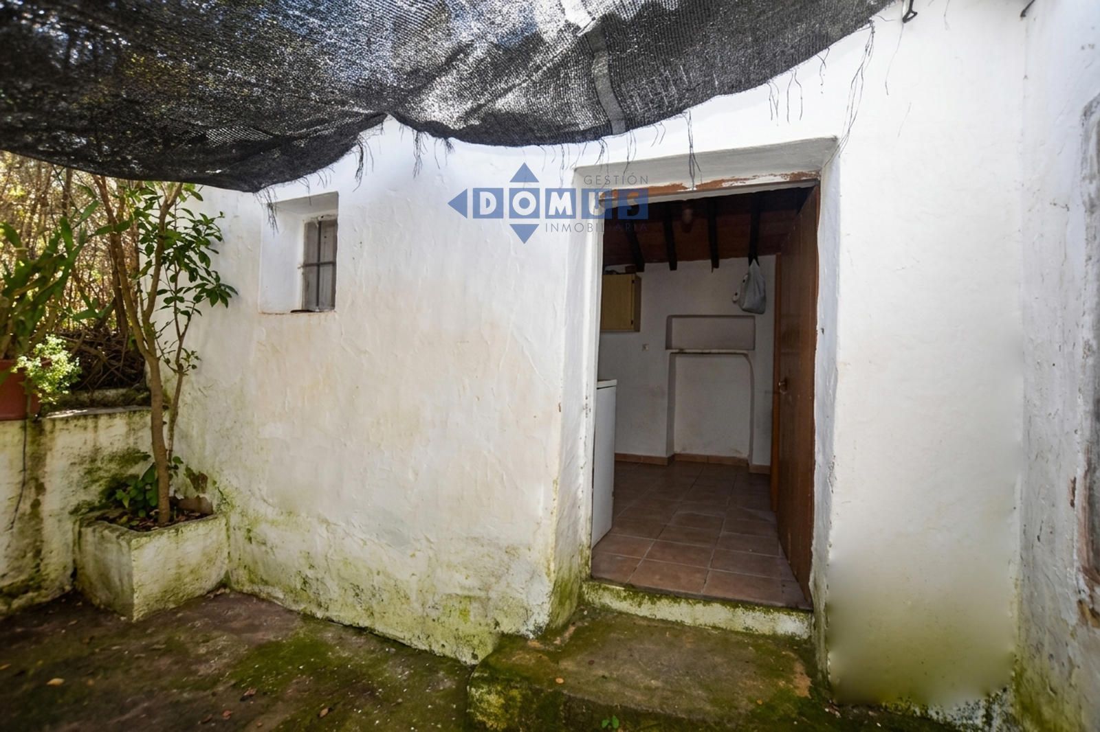 Magnifica finca de olivar con vivienda a 15 min de Ronda - Foto 13