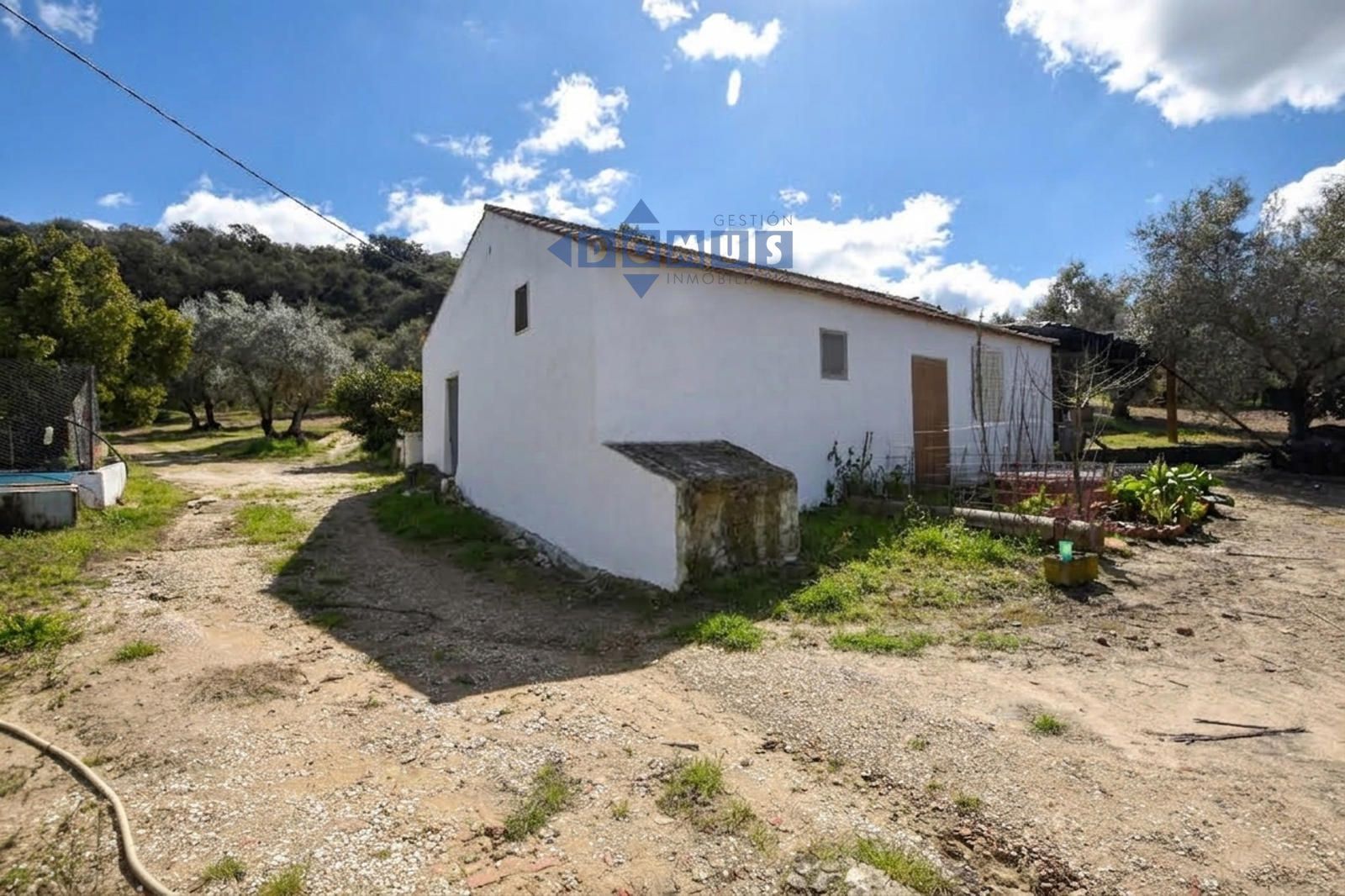 Magnifica finca de olivar con vivienda a 15 min de Ronda - Foto 3