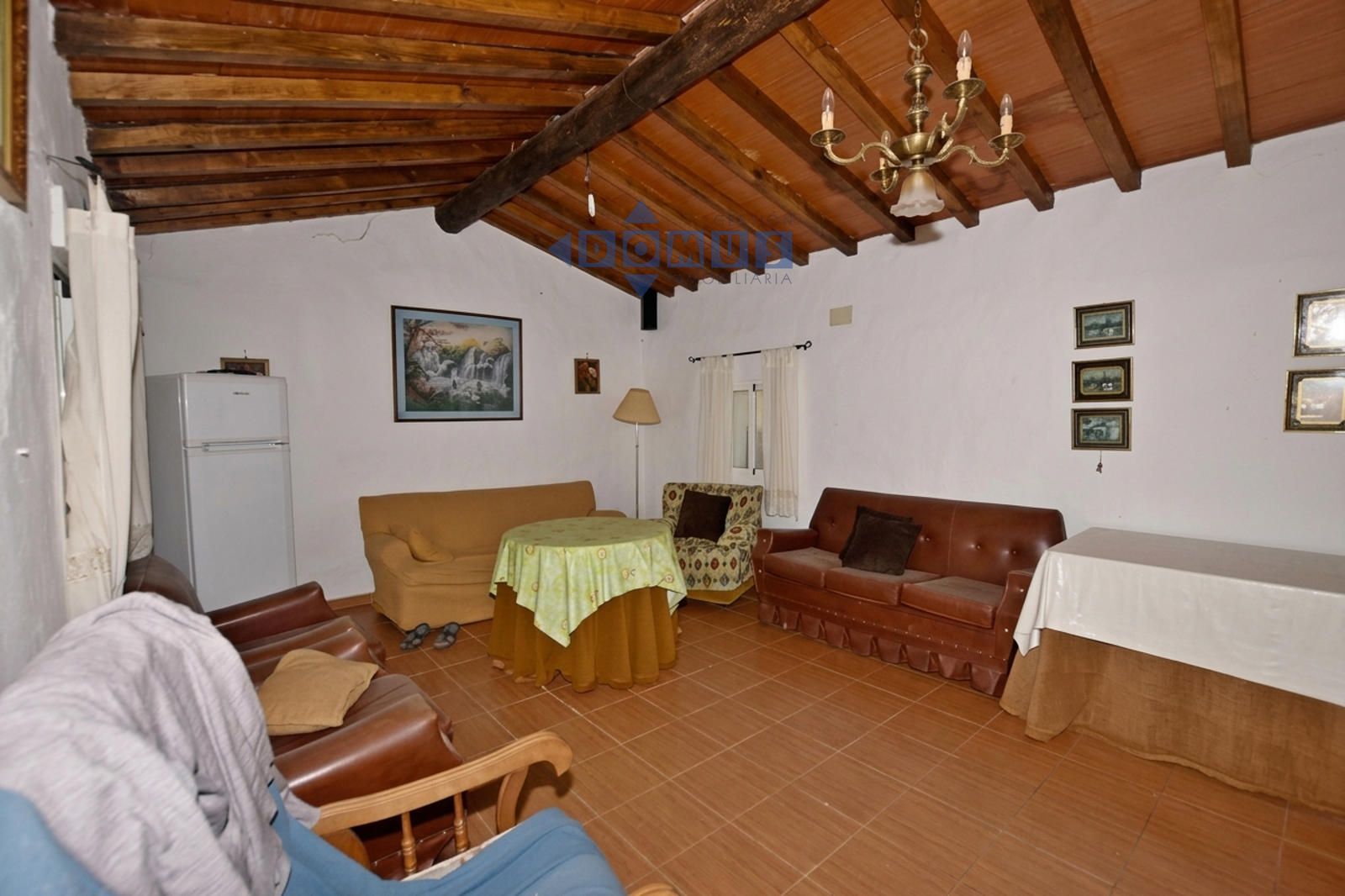 Magnifica finca de olivar con vivienda a 15 min de Ronda - Foto 6