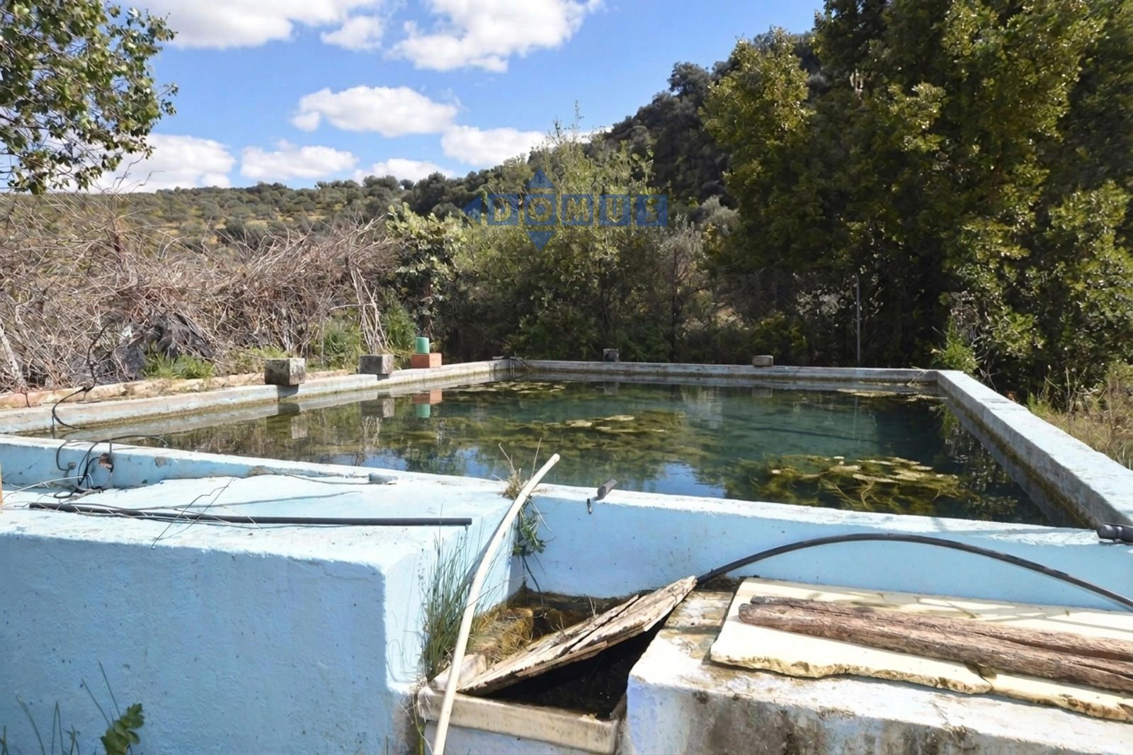 Magnifica finca de olivar con vivienda a 15 min de Ronda - Foto 4
