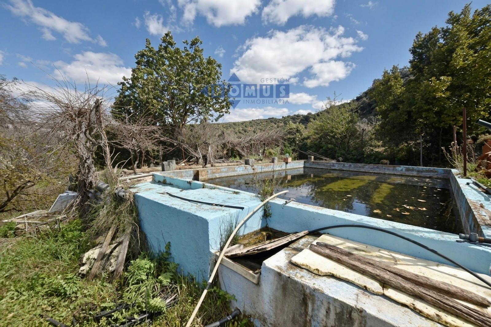 Magnifica finca de olivar con vivienda a 15 min de Ronda - Foto 5