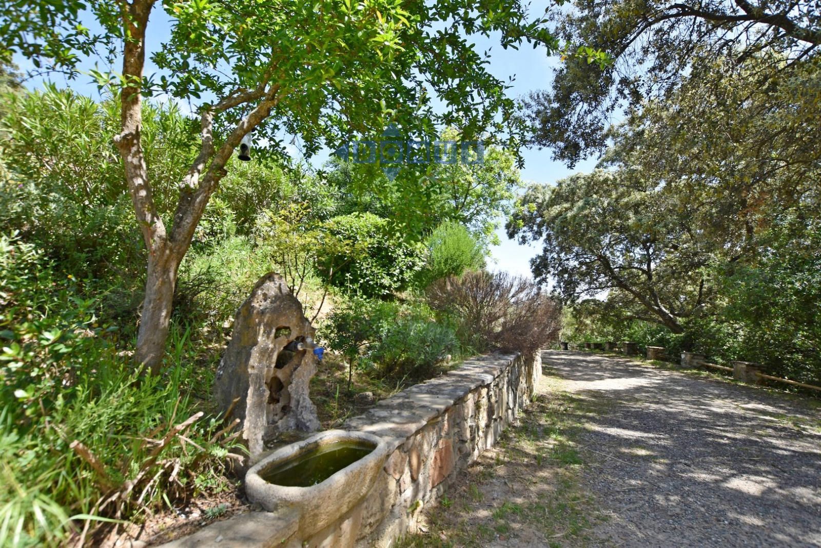 Cottage for sale in Ronda, Málaga (Extrarradio) - Foto 9