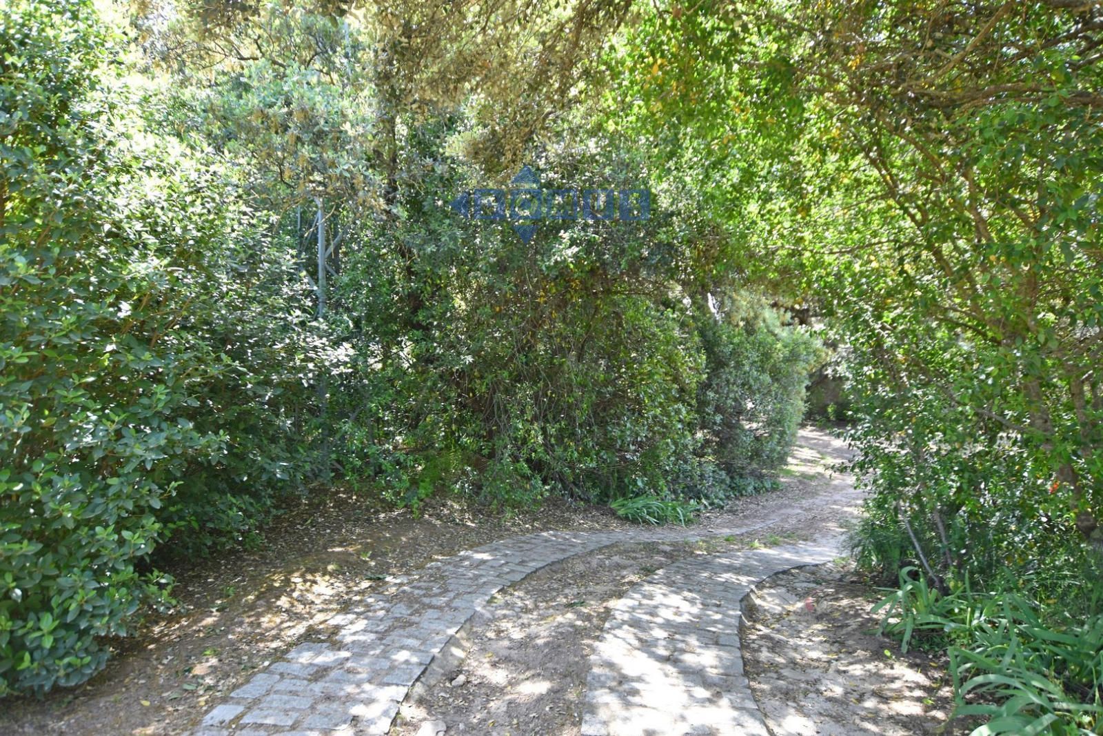 Cottage for sale in Ronda, Málaga (Extrarradio) - Foto 10