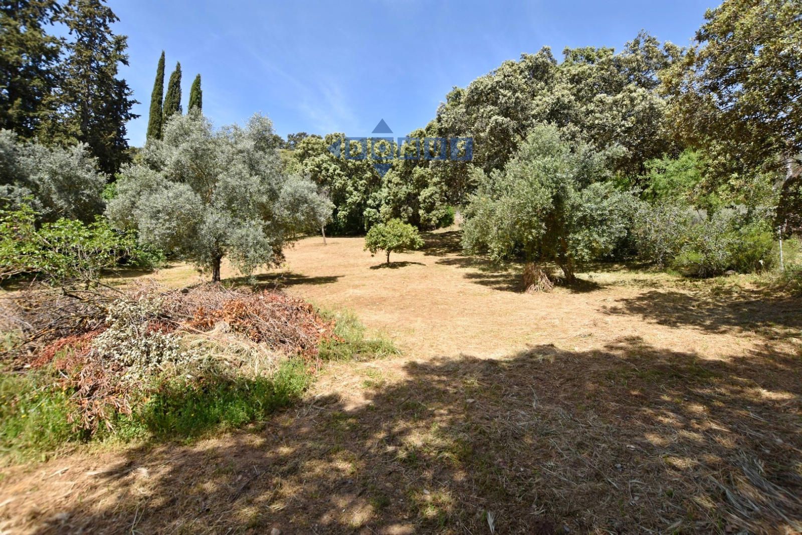 Cottage for sale in Ronda, Málaga (Extrarradio) - Foto 31