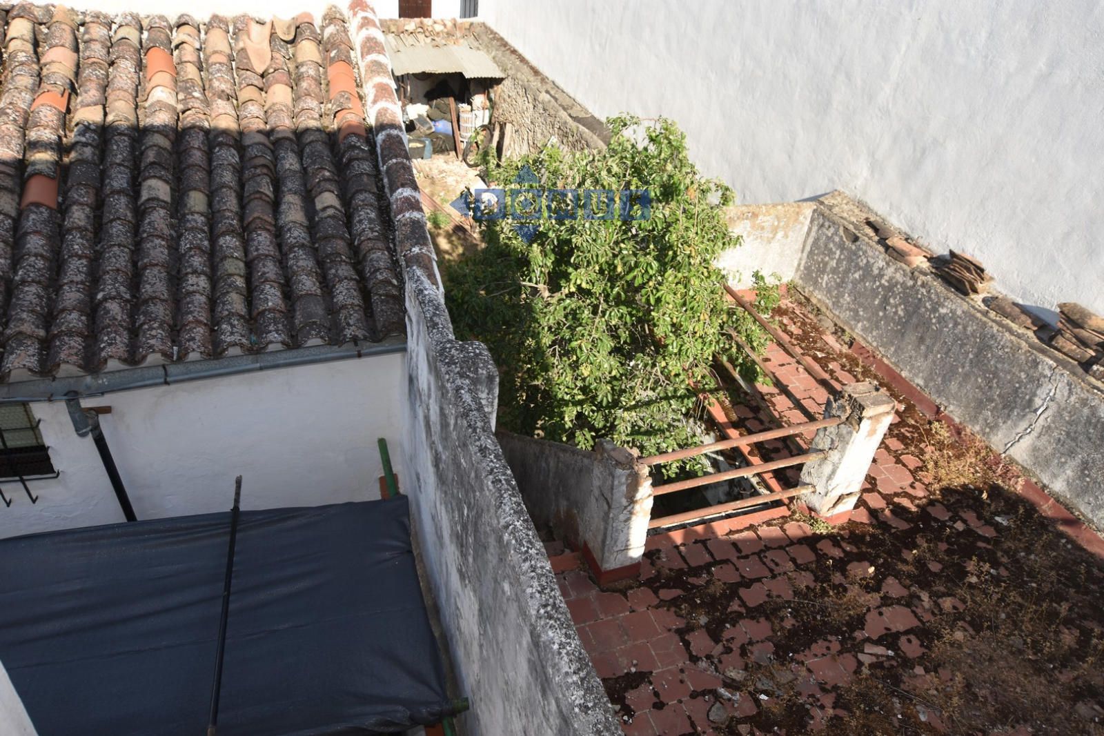 Plot for sale Ronda, Málaga. Ref: 11449. Domus Ronda
