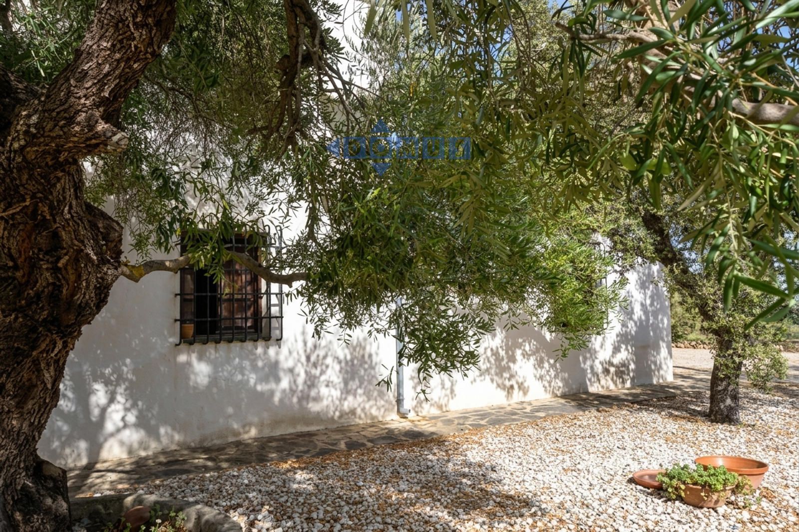 Finca singular con torre vigía mozárabe - Foto 13