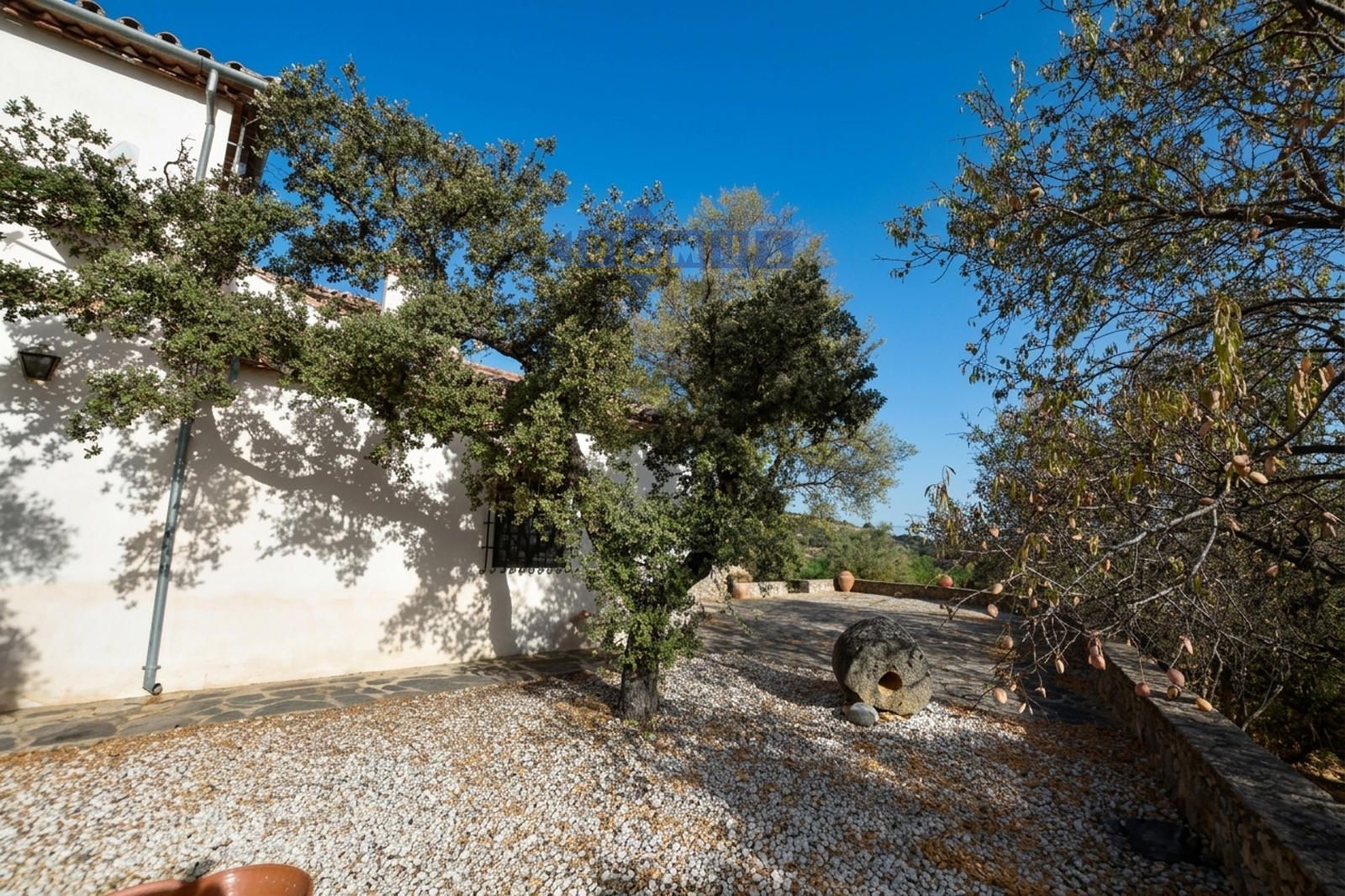 Finca singular con torre vigía mozárabe - Foto 39