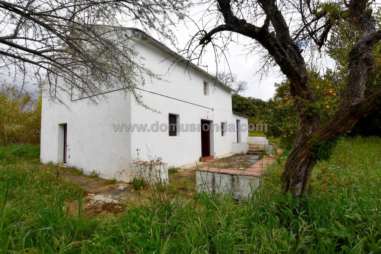 Domus Ronda Venta Casa De Campo Rustica Parcela Precio Ref 8981