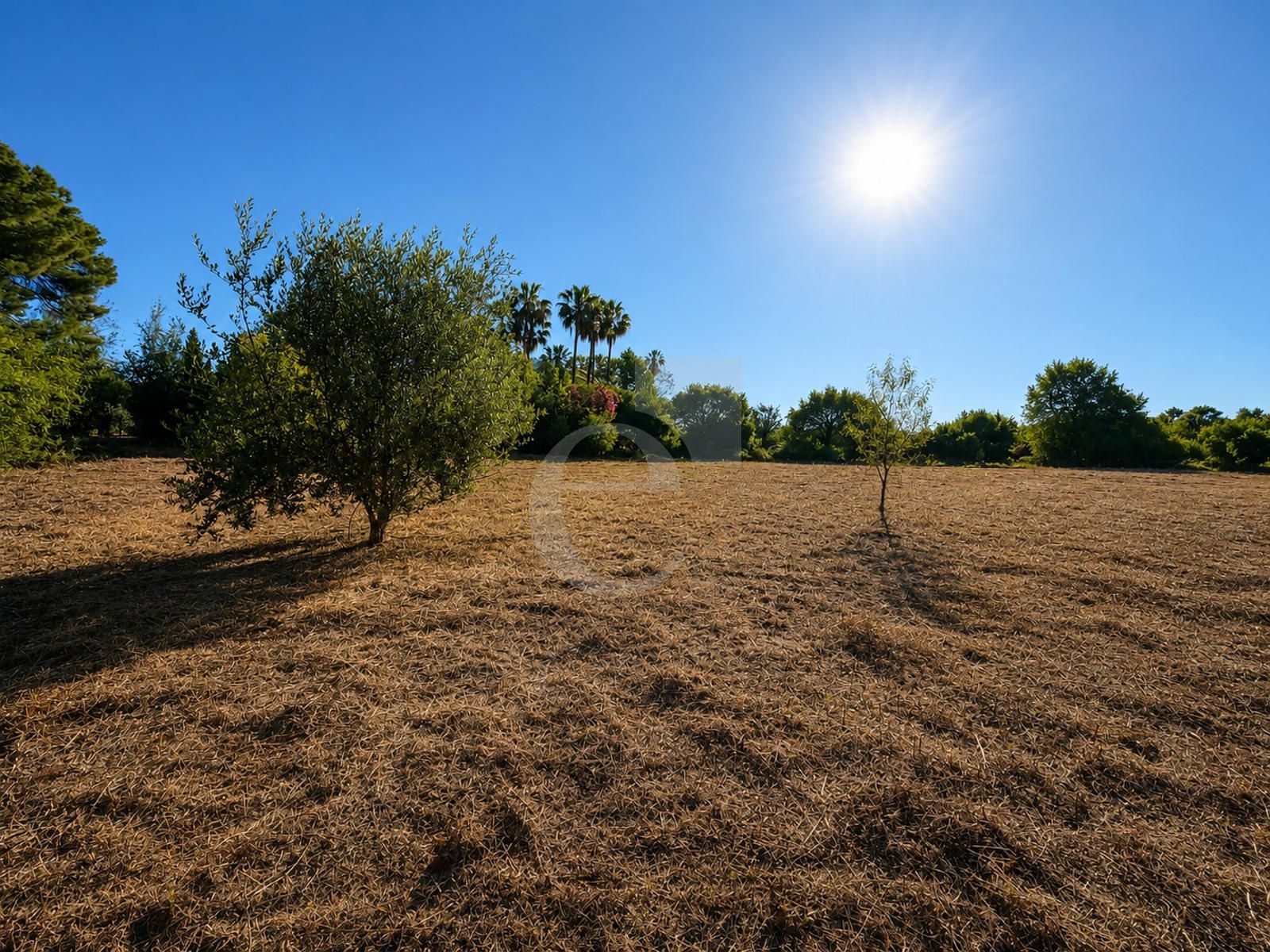 Parcela en venta Rocafort, Valencia. Ref: 2294. ECOM TRANSACCIONES S.L.U.